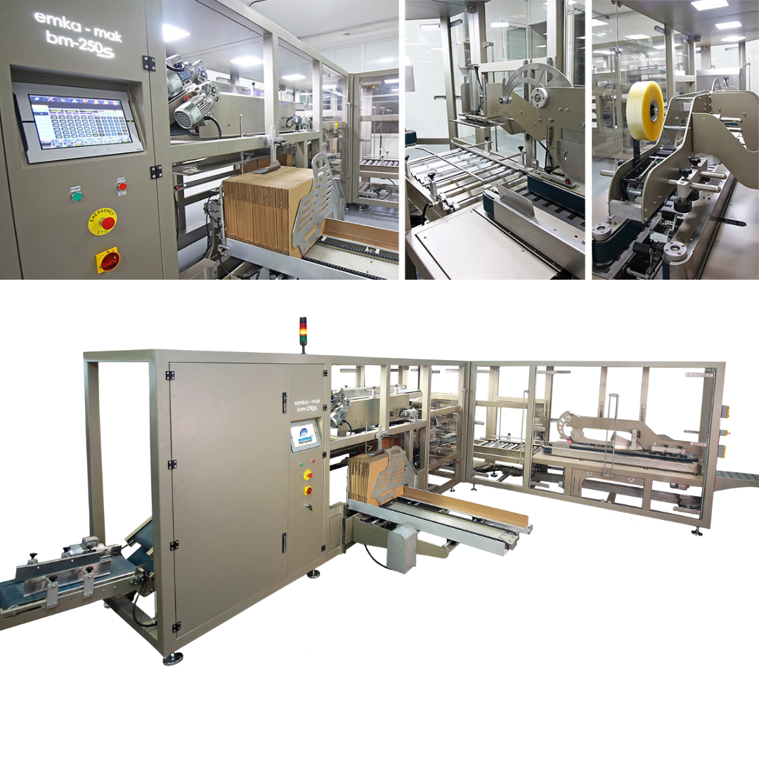 Conventional Case Packing Machine